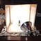 Ipower Simple Deluxe 6-PACK Clamp Lamp Light with 5.5-Inch Reflector, 60-Watt, 6PK HIWKLTCLAMPLIGHTSX6 - alternate 4
